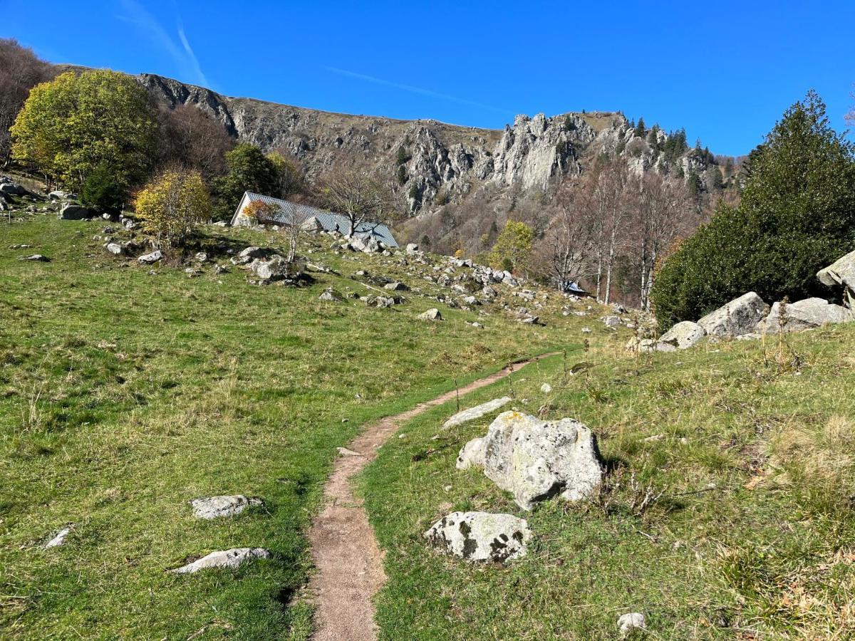 Gite De Montagne -Bellefosse Alsace Exterior foto