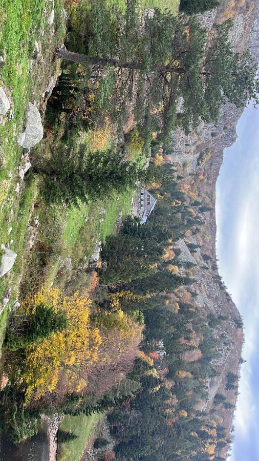 Gite De Montagne -Bellefosse Alsace Exterior foto