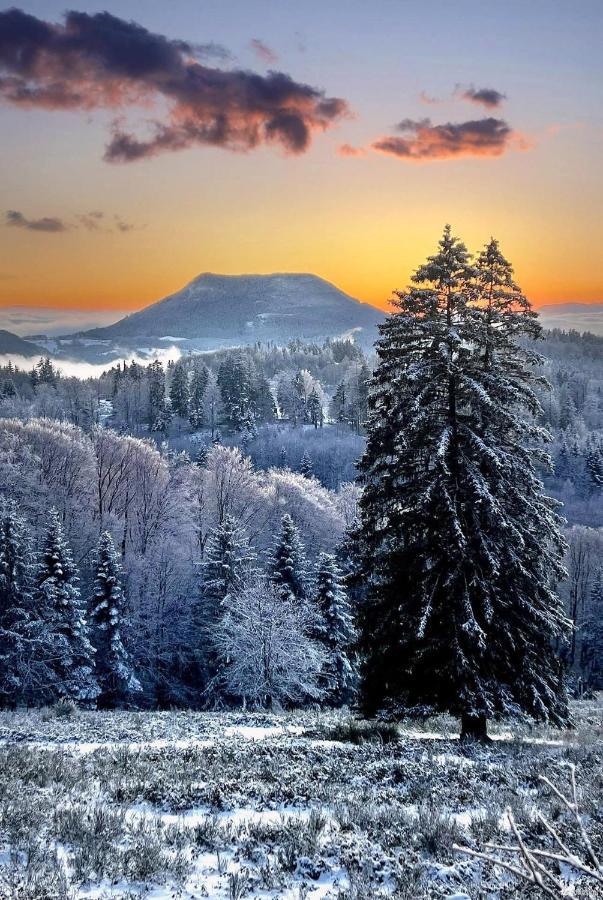 Gite De Montagne -Bellefosse Alsace Exterior foto