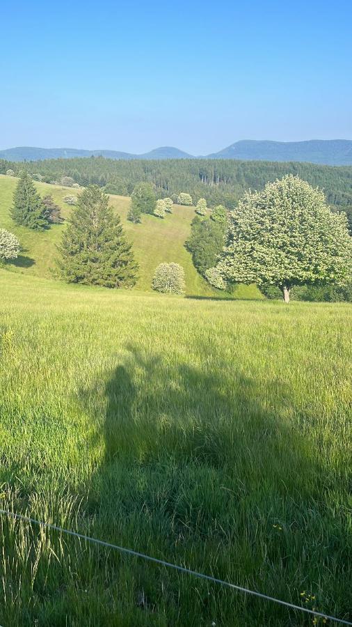 Gite De Montagne -Bellefosse Alsace Exterior foto