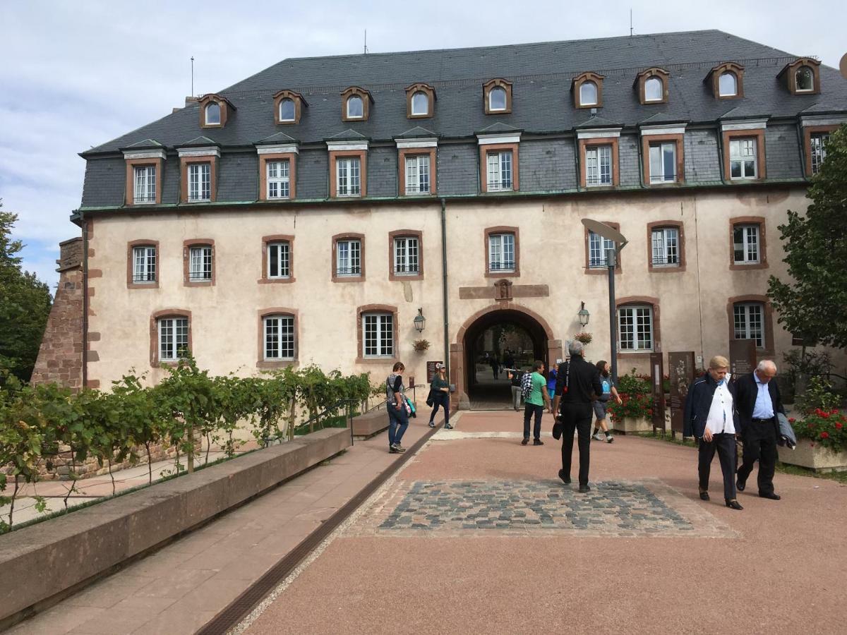 Gite De Montagne -Bellefosse Alsace Exterior foto